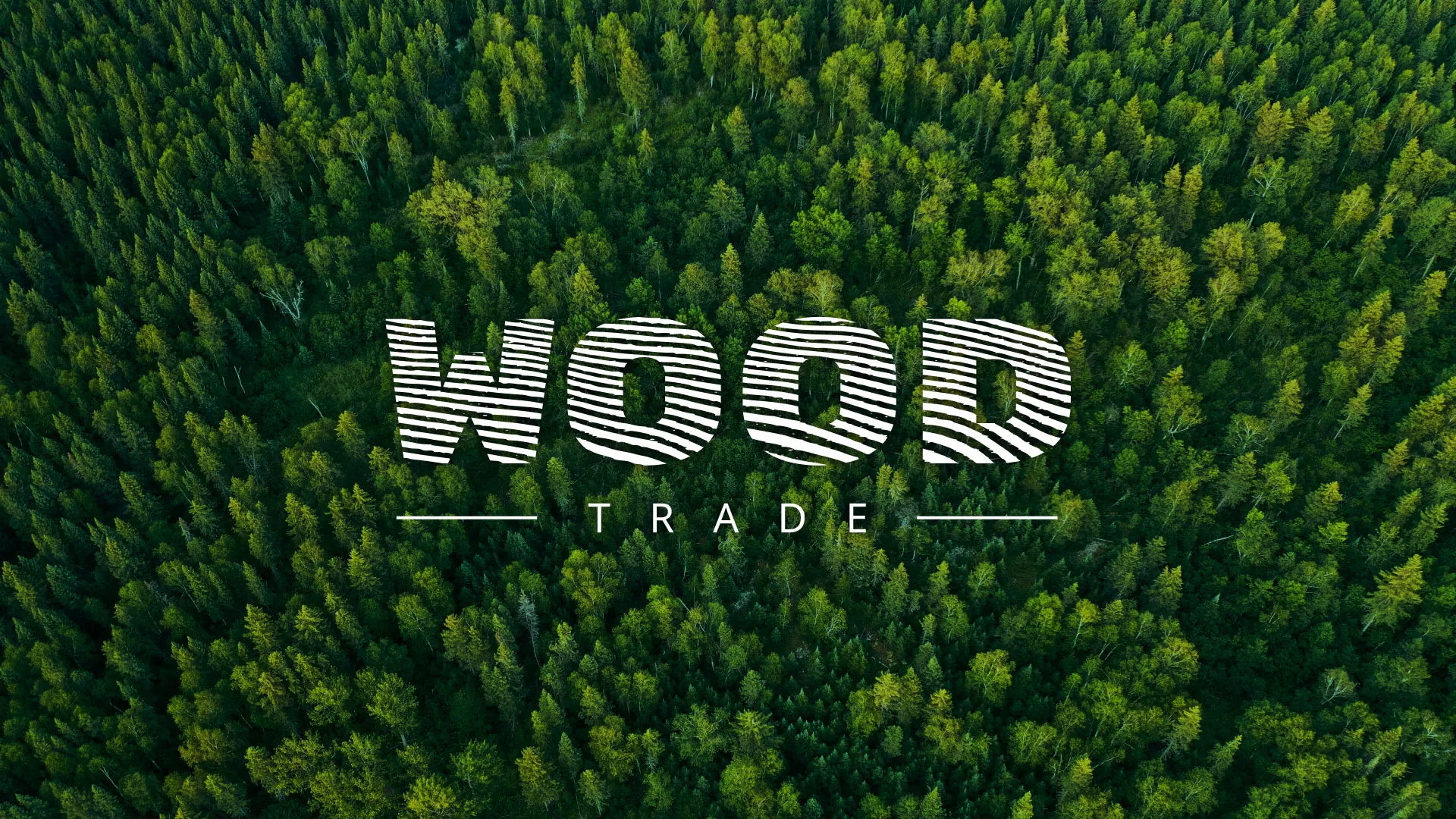 Разработка интернет-магазина компании «Wood Trade» в Котельниче